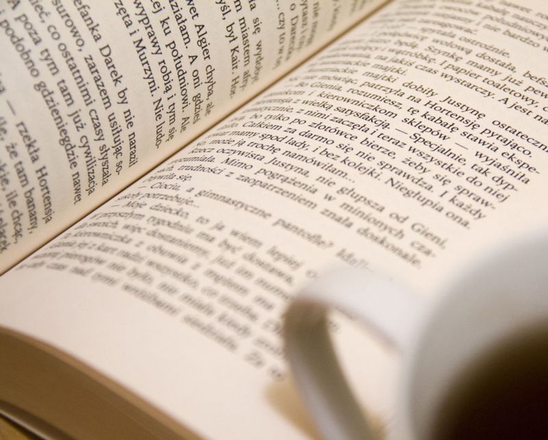 English Language Arts / Development