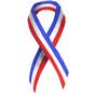 Spirit Day - Wear RED, WHITE and BLUE thumbnail